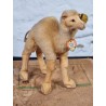 Gammelt Steiff dyr, dromedar, h: 15 cm.