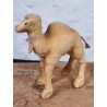 Gammelt Steiff dyr, dromedar, h: 15 cm.