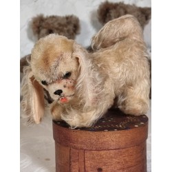 Antik Steiff hund, cocker,...