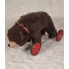 Old Steiff bear on wheel, size: 33 x 57 cm.