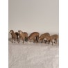 Antique sheep with "tuchstaub" surface, h:  4,5 - 5,5 cm (5x).
