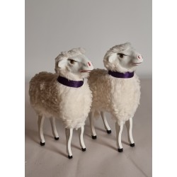 Store får med lilla...