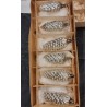 Box with tall old silver pinecones, h: 8 - 10 cm.