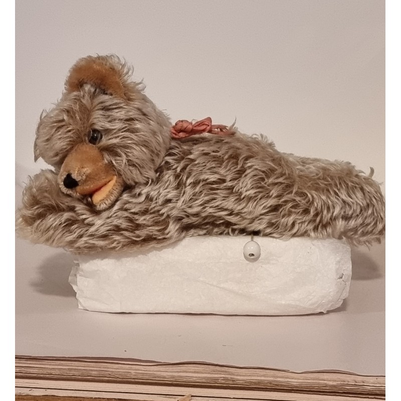 Old Steiff teddy, Zotty, playes music, l: 32 cm.
