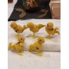 5 old cotton wool chicken,h: 5,5 cm. (5x)