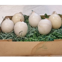 Old Easter ornament, 6 old flipping chickens, size: 4 x 5 cm. (2)