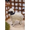 Sheep with a dark head, h: 8 cm.