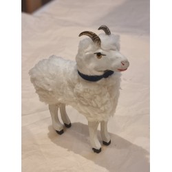 Vædder med horn og blåt...