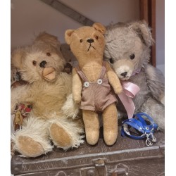Small antique Teddy with trousers and belt, h: 25 cm