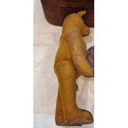 Antique/old Teddy, name ??, h: 56 cm.