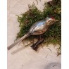 Antique glass ornament, woodpecker, l: 14 cm.