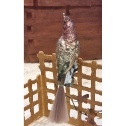 Antikt glaspynt, kakadue med farvet hale, l: 13 cm.