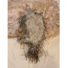 Antikt tinsel pynt med Jesus barn, voks, h: 7,5 cm.