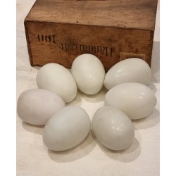 7 antique nest egg in...