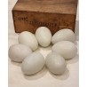 7 antikke lokkeæg i opaline glas, h: 7 cm. (7stk)