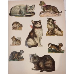 Page of antique scrap pictures, Cats and more, size: 31 x 23 cm.