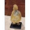 Old stuffed duckling, h: 13 cm.
