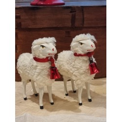 Tall sheep with red...