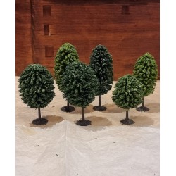6 old trees for Christmas...