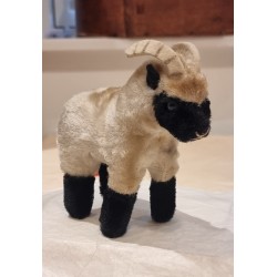 Old fine ram, size: 15 x 14...