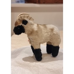 Old fine ram, size: 15 x 14 cm.